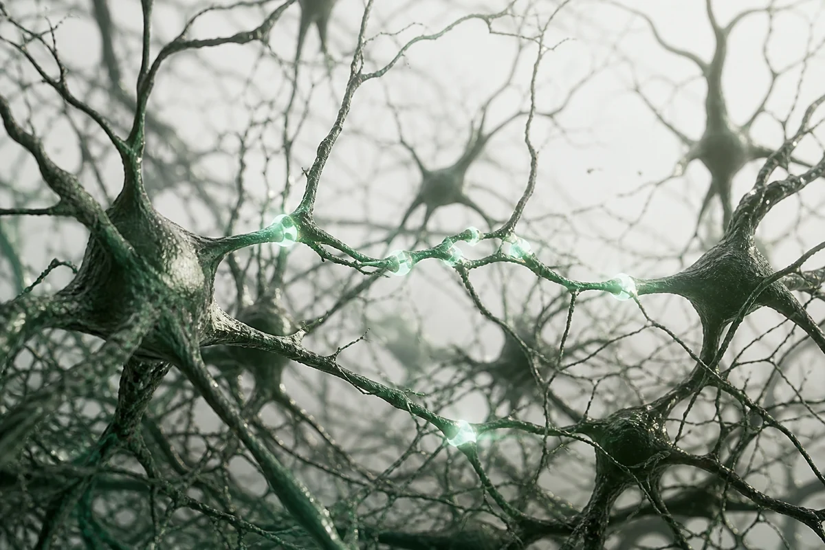 Selective activity-dependent signals within living neural tissue